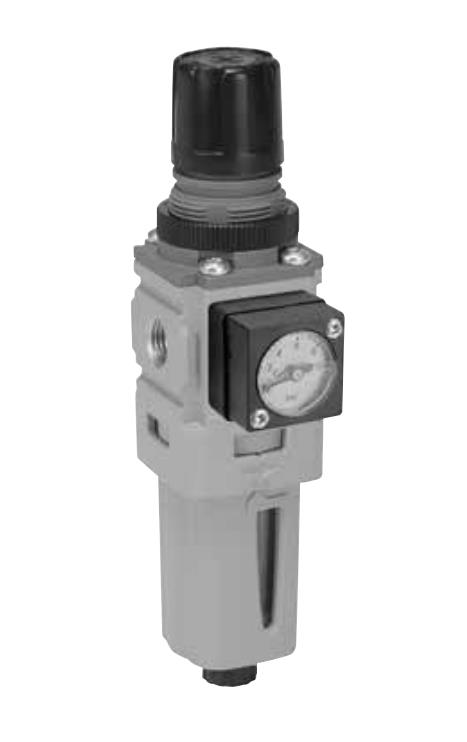 P31 FILTER/REDUZIERVENTIL G1/4 0–2 bar + MANO HALBAUTOMATISCHE ABLAUFVENTIL *AUSLAUFARTIKEL*