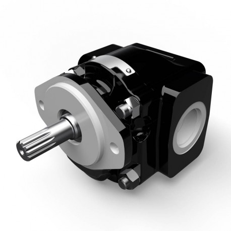 PGP620A0260AT2K5WT4B1B1D3+Zahnradpumpe